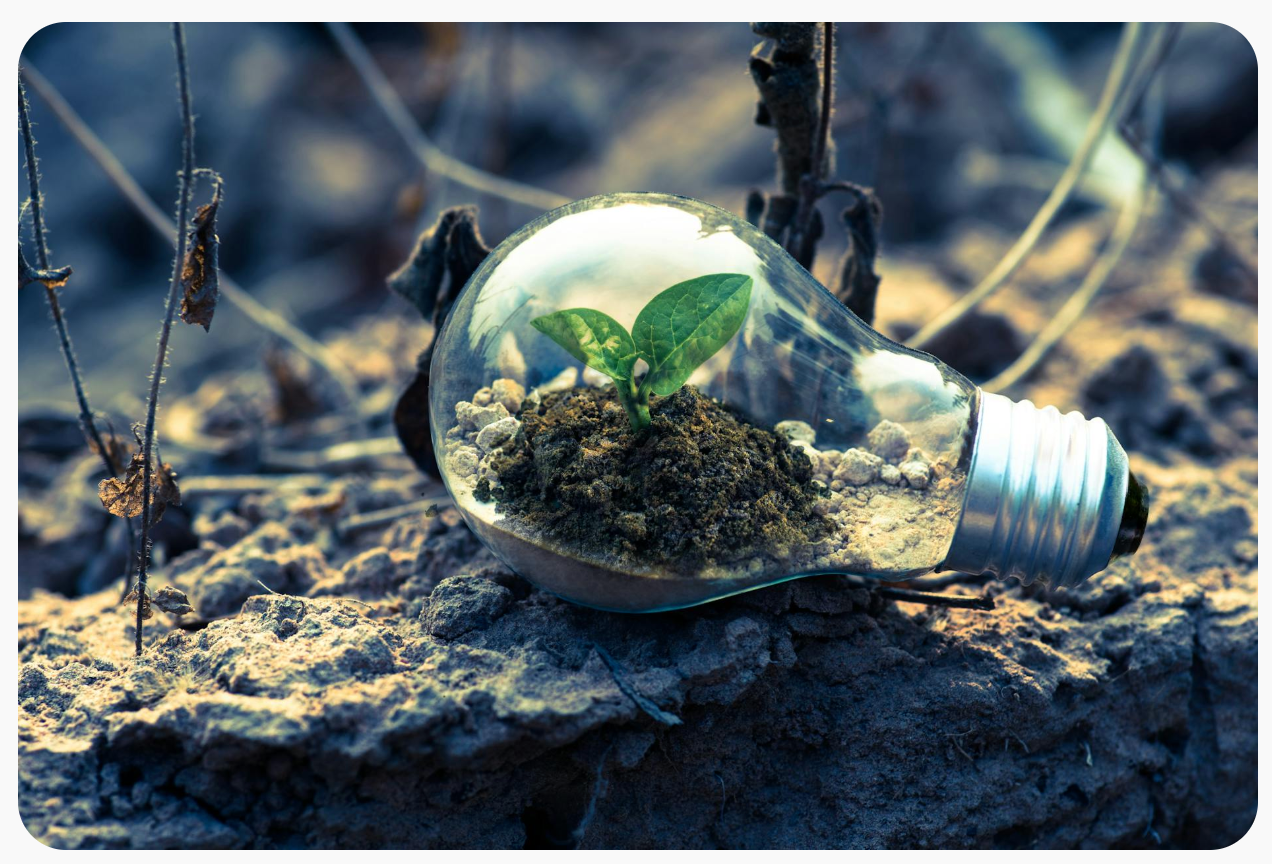 Protected: Reflection 5: Digital Technology & Sustainability